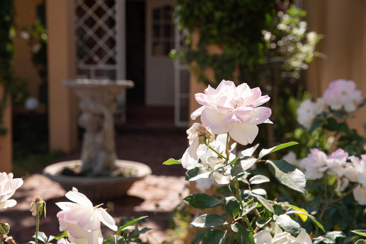 Roses And Pebbles B & B Guest House Klerksdorp Exterior foto